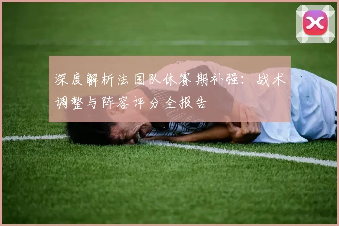深度解析法国队休赛期补强:战术调整与阵容评分全报告