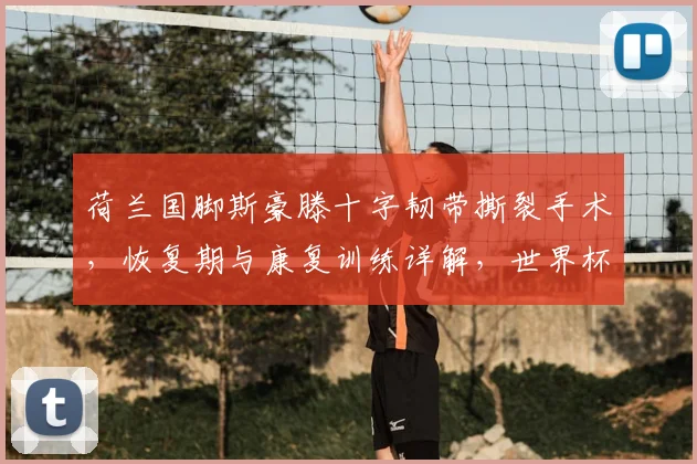 荷兰国脚斯豪滕十字韧带撕裂手术,恢复期与康复训练详解,世界杯前景分析