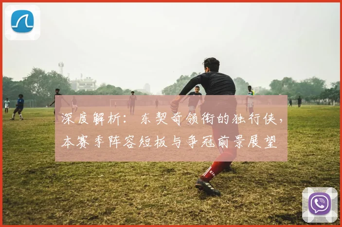 深度解析:东契奇领衔的独行侠,本赛季阵容短板与争冠前景展望