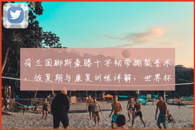 荷兰国脚斯豪滕十字韧带撕裂手术，恢复期与康复训练详解，世界杯前景分析